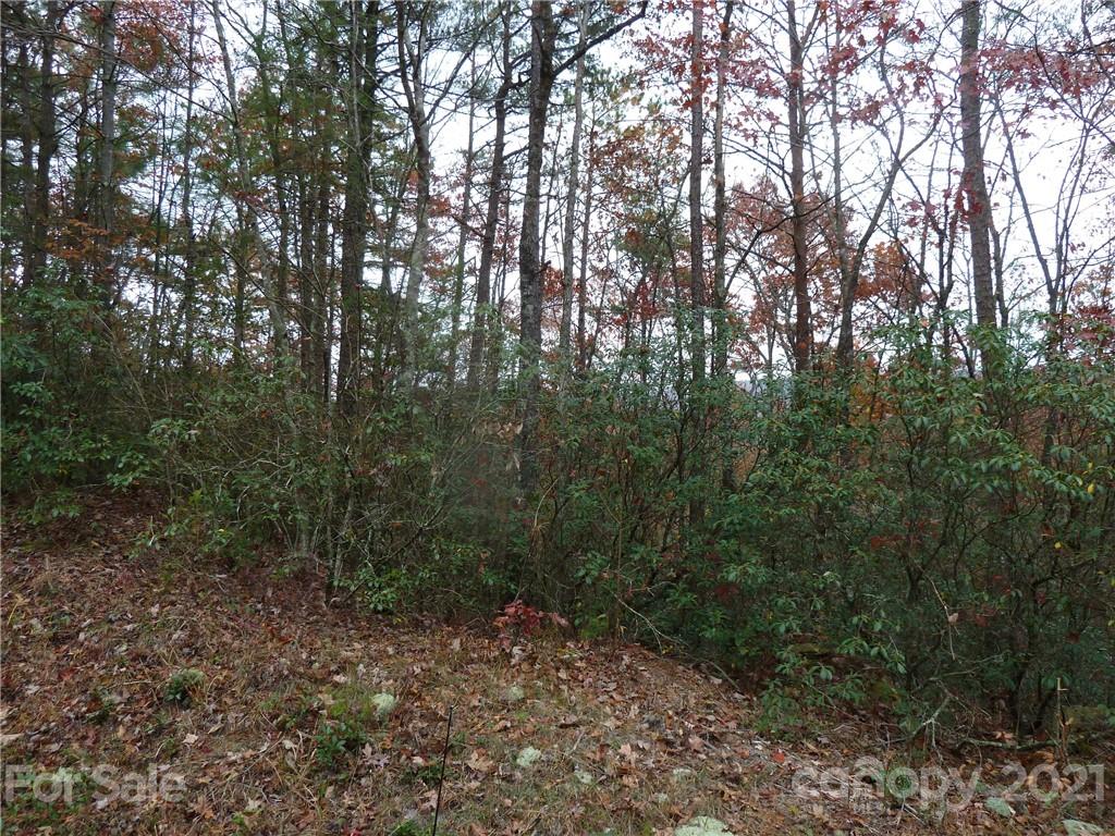 87 Oak Laurel Road, Unit 87 Brevard, NC 28712 - Photo 23 of 41 Gallery Image 23