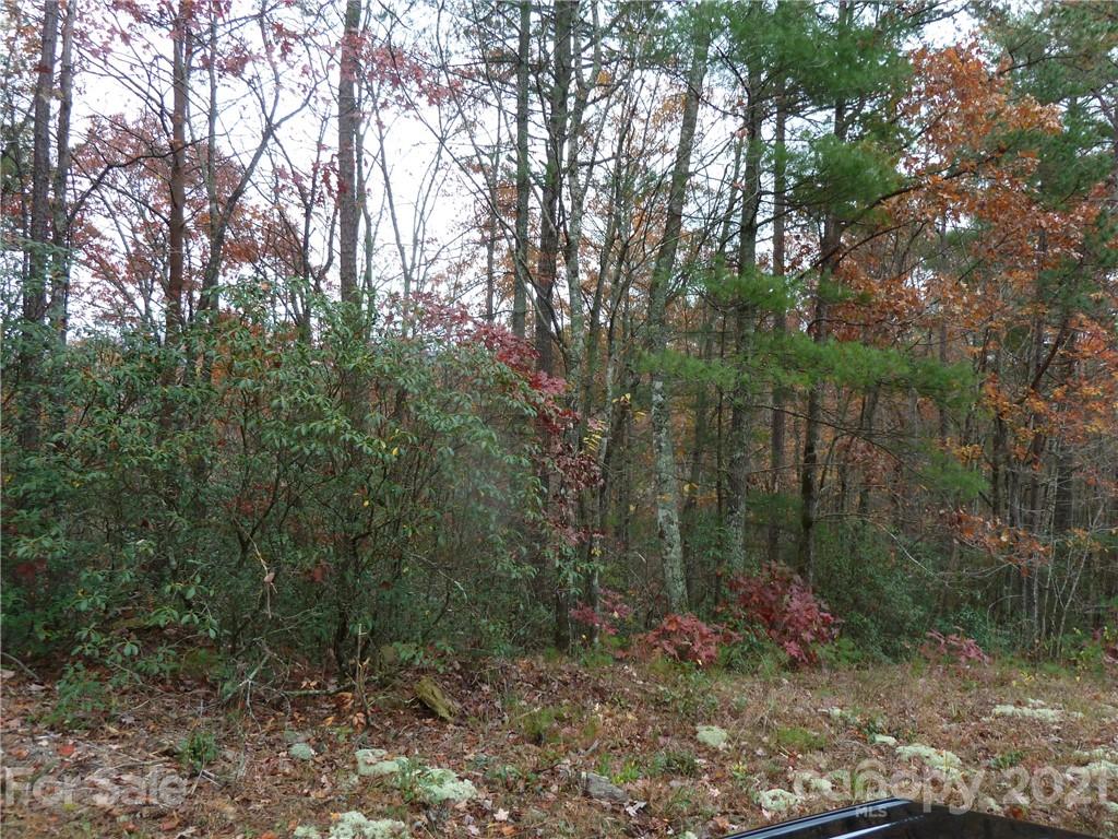 87 Oak Laurel Road, Unit 87 Brevard, NC 28712 - Photo 24 of 41 Gallery Image 24