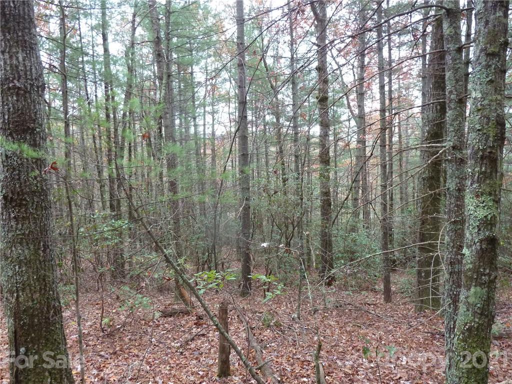 87 Oak Laurel Road, Unit 87 Brevard, NC 28712 - Photo 25 of 41 Gallery Image 25
