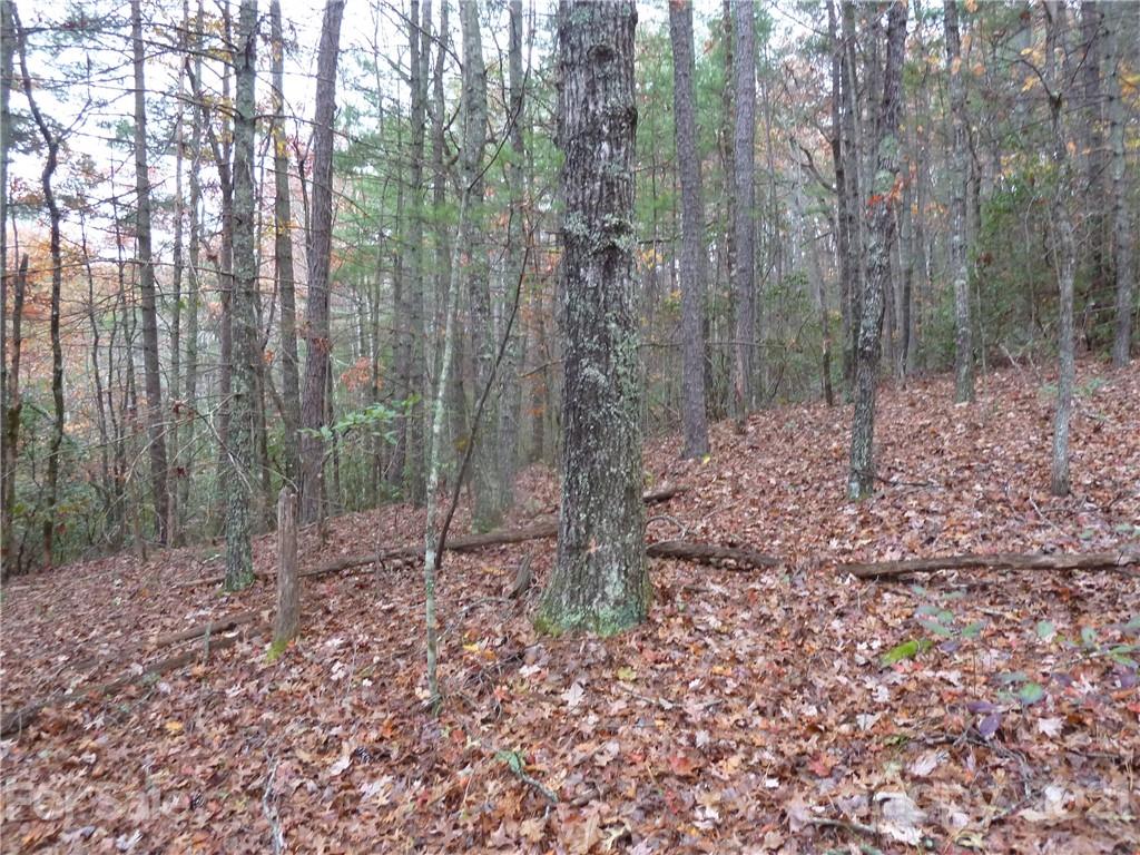 87 Oak Laurel Road, Unit 87 Brevard, NC 28712 - Photo 26 of 41 Gallery Image 26