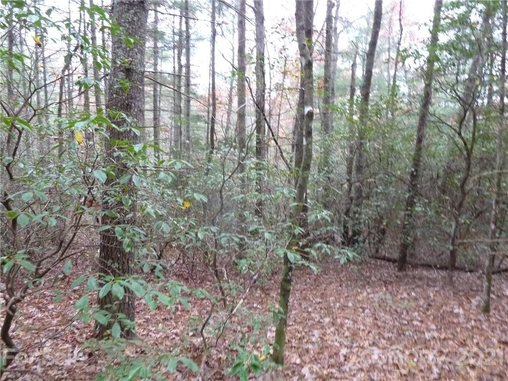 87 Oak Laurel Road, Unit 87 Brevard, NC 28712 - Photo 27 of 41 Gallery Image 27