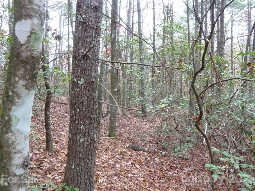 87 Oak Laurel Road, Unit 87 Brevard, NC 28712 - Photo 28 of 41 Gallery Image 28