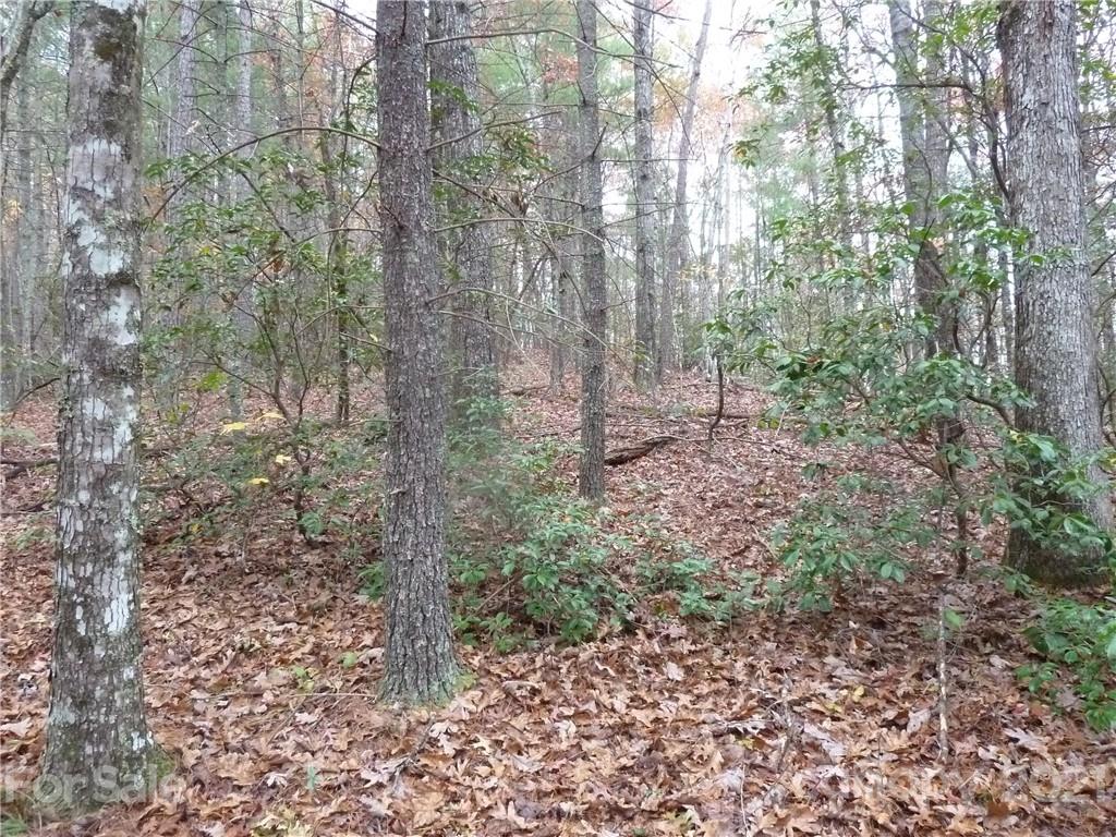 87 Oak Laurel Road, Unit 87 Brevard, NC 28712 - Photo 29 of 41 Gallery Image 29