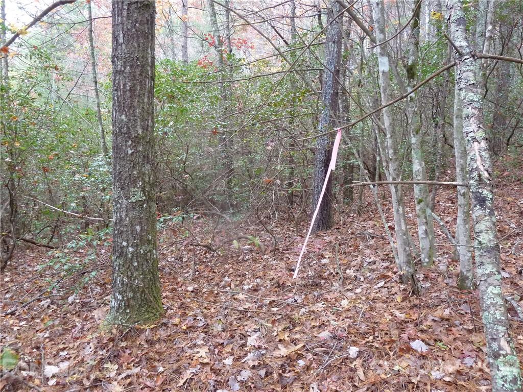87 Oak Laurel Road, Unit 87 Brevard, NC 28712 - Photo 30 of 41 Gallery Image 30