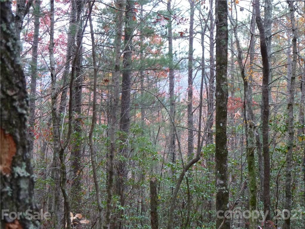 87 Oak Laurel Road, Unit 87 Brevard, NC 28712 - Photo 4 of 41 Gallery Image 4