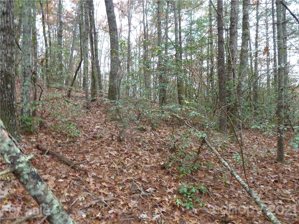 87 Oak Laurel Road, Unit 87 Brevard, NC 28712 - Photo 31 of 41 Gallery Image 31