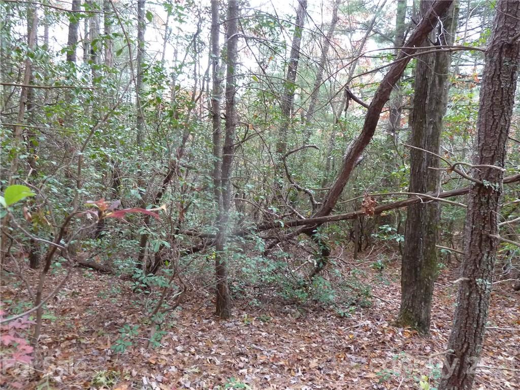 87 Oak Laurel Road, Unit 87 Brevard, NC 28712 - Photo 32 of 41 Gallery Image 32