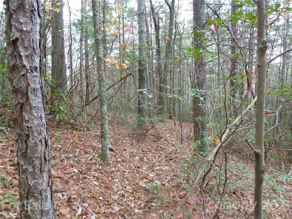 87 Oak Laurel Road, Unit 87 Brevard, NC 28712 - Photo 33 of 41 Gallery Image 33