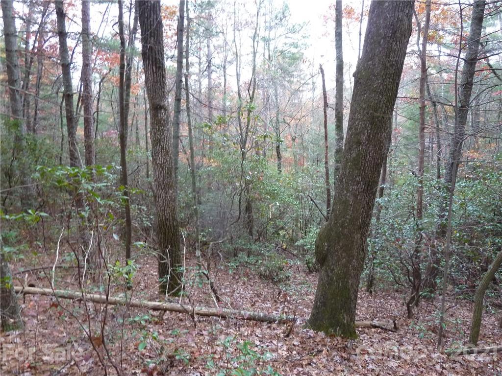 87 Oak Laurel Road, Unit 87 Brevard, NC 28712 - Photo 34 of 41 Gallery Image 34