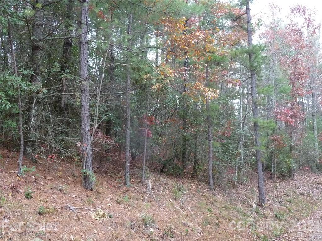 87 Oak Laurel Road, Unit 87 Brevard, NC 28712 - Photo 36 of 41 Gallery Image 36