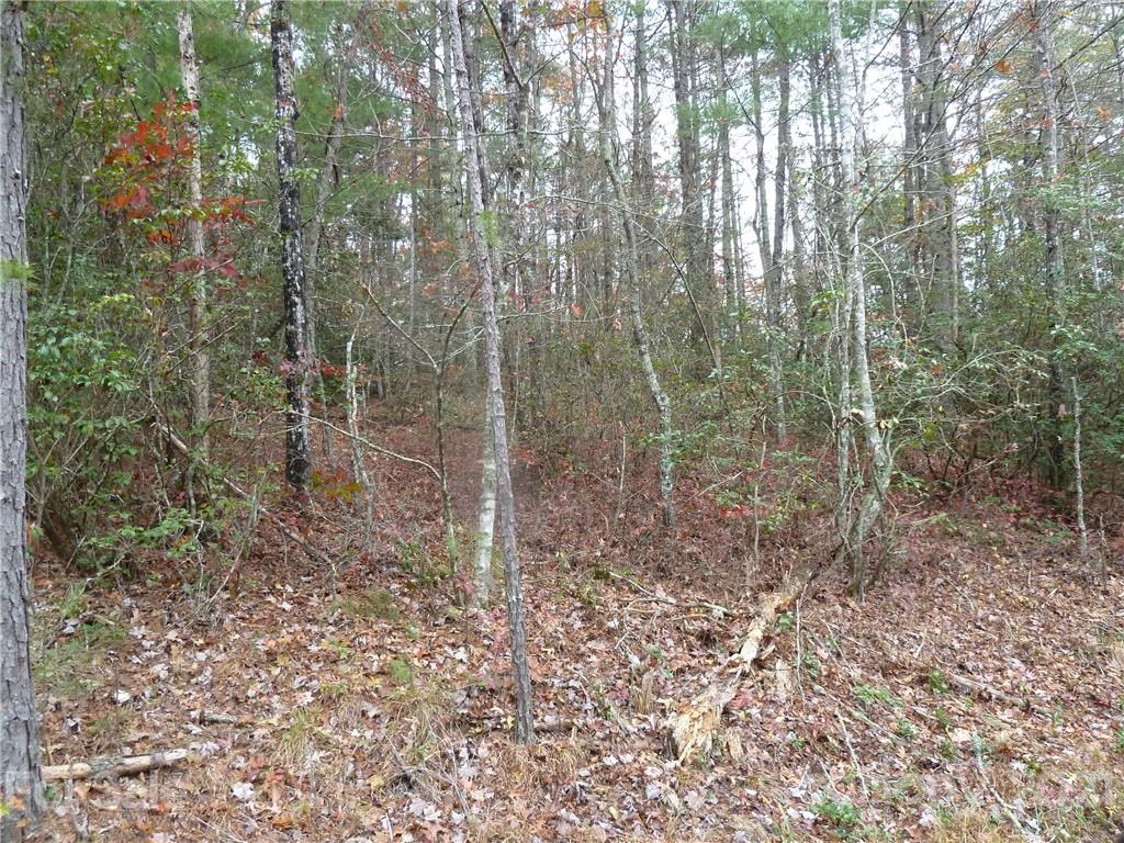 87 Oak Laurel Road, Unit 87 Brevard, NC 28712 - Photo 37 of 41 Gallery Image 37