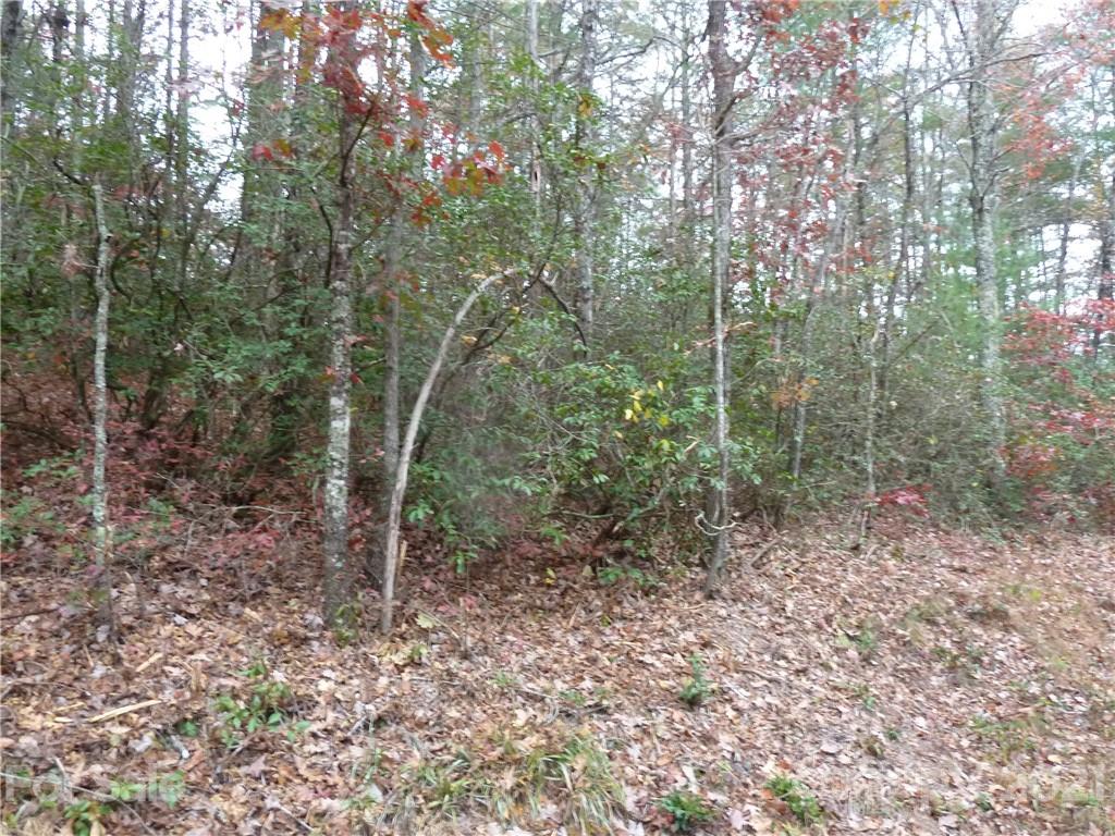 87 Oak Laurel Road, Unit 87 Brevard, NC 28712 - Photo 38 of 41 Gallery Image 38