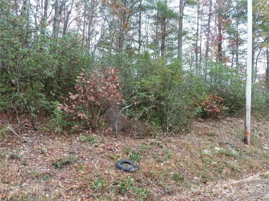 87 Oak Laurel Road, Unit 87 Brevard, NC 28712 - Photo 39 of 41 Gallery Image 39