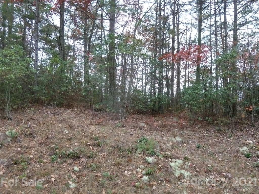 87 Oak Laurel Road, Unit 87 Brevard, NC 28712 - Photo 40 of 41 Gallery Image 40