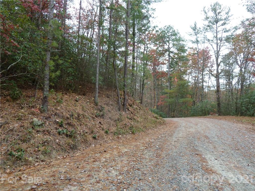 87 Oak Laurel Road, Unit 87 Brevard, NC 28712 - Photo 5 of 41 Gallery Image 5