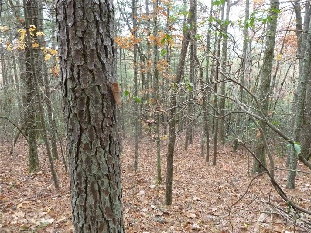 87 Oak Laurel Road, Unit 87 Brevard, NC 28712 - Photo 7 of 41 Gallery Image 7