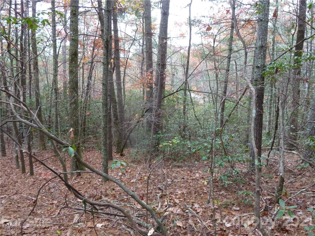 87 Oak Laurel Road, Unit 87 Brevard, NC 28712 - Photo 8 of 41 Gallery Image 8