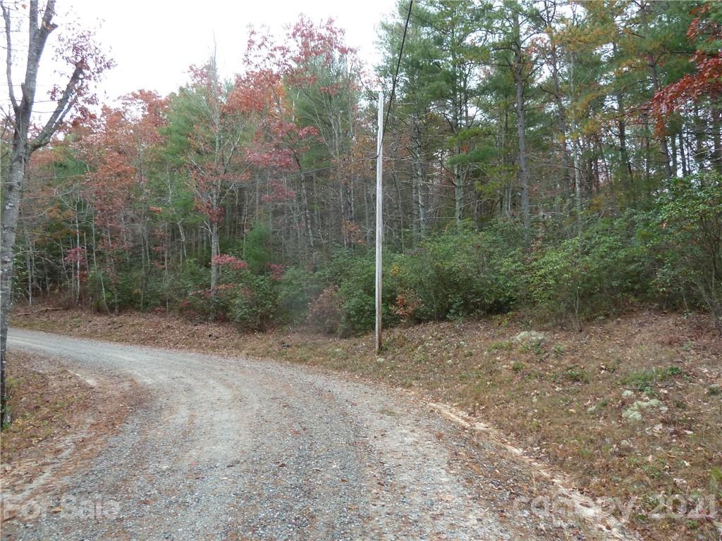 87 Oak Laurel Road, Unit 87 Brevard, NC 28712 - Photo 9 of 41 Gallery Image 9