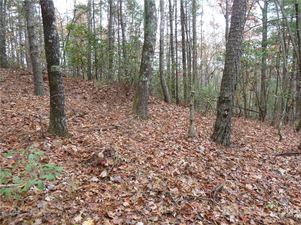 87 Oak Laurel Road, Unit 87 Brevard, NC 28712 - Photo 10 of 41 Gallery Image 10