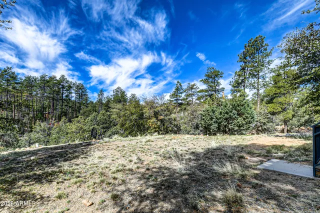 a view of a yard with a tree
