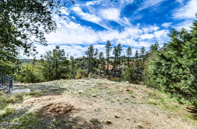 a view of a yard with trees