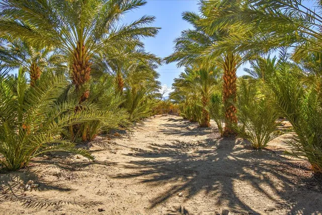$12,500 | 31453 Chimayo Road, Thousand Palms, CA 92276
