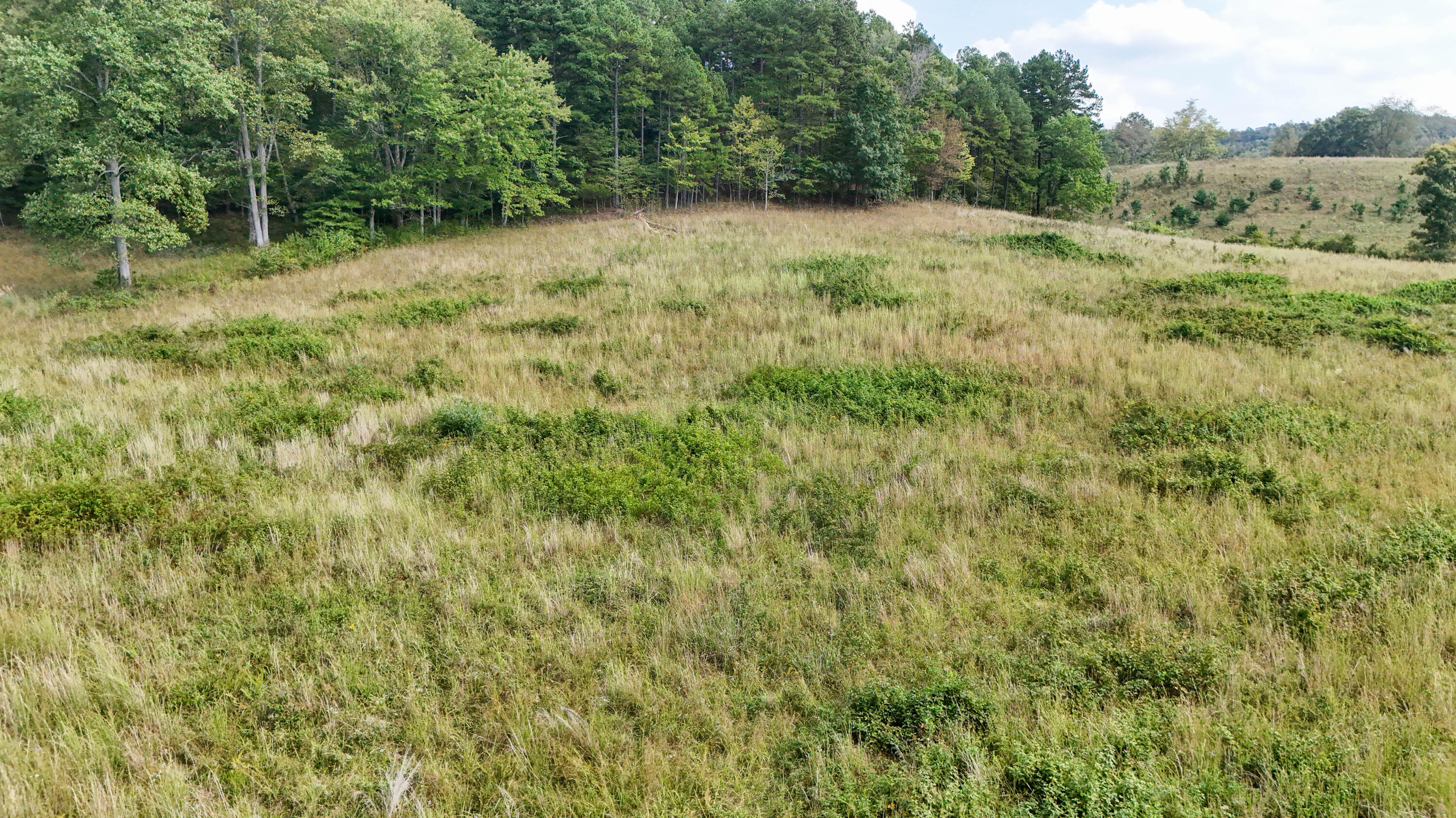 9999 Portersburg Road Manchester, KY 40962 - Photo 17 of 28 LightroomRealEstateEdits-10