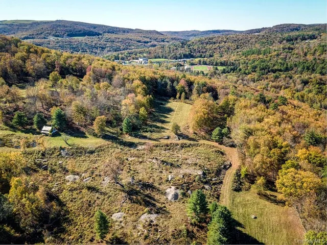$1,250,000 | Tbd State Route 55 And Smith Lane, Neversink, NY 12765