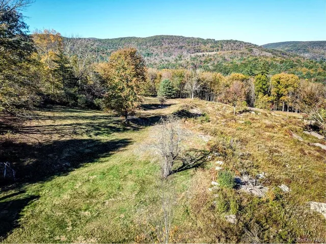 $1,250,000 | Tbd State Route 55 And Smith Lane, Neversink, NY 12765