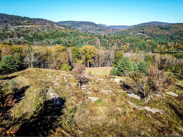 $1,250,000 | Tbd State Route 55 And Smith Lane, Neversink, NY 12765