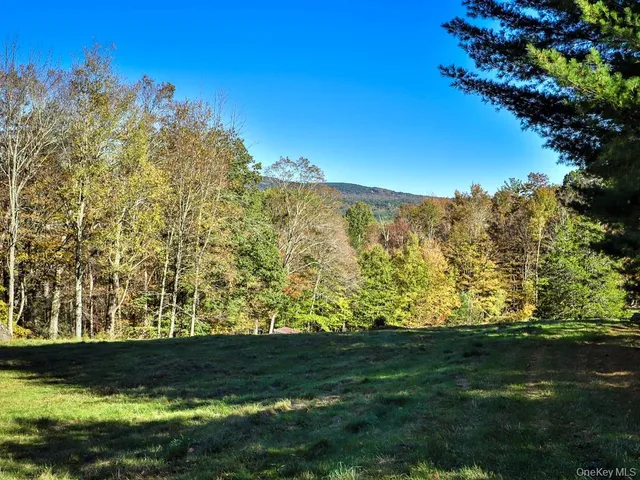 $1,250,000 | Tbd State Route 55 And Smith Lane, Neversink, NY 12765