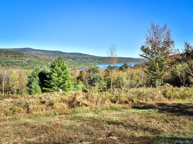 $1,250,000 | Tbd State Route 55 And Smith Lane, Neversink, NY 12765