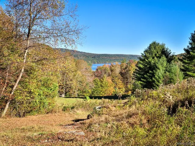 $1,250,000 | Tbd State Route 55 And Smith Lane, Neversink, NY 12765