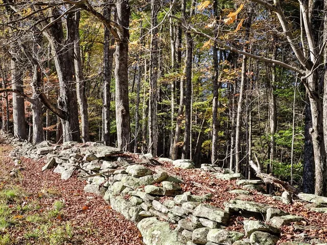 $1,250,000 | Tbd State Route 55 And Smith Lane, Neversink, NY 12765