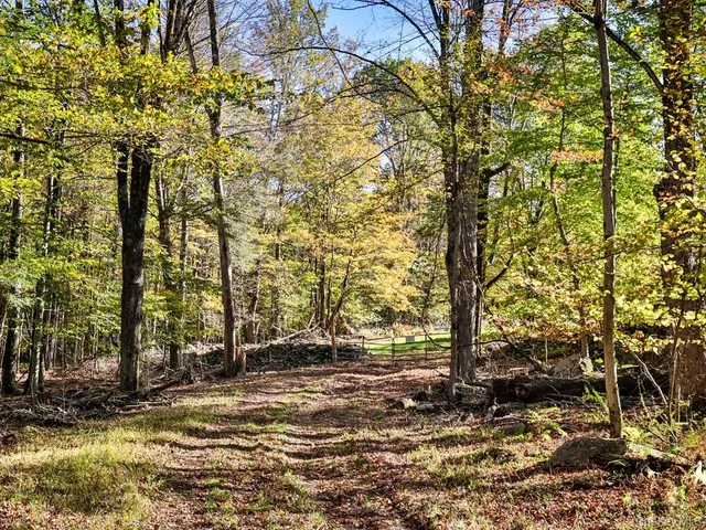 $1,250,000 | Tbd State Route 55 And Smith Lane, Neversink, NY 12765