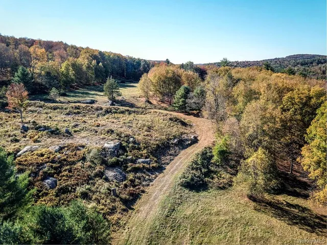 $1,250,000 | Tbd State Route 55 And Smith Lane, Neversink, NY 12765