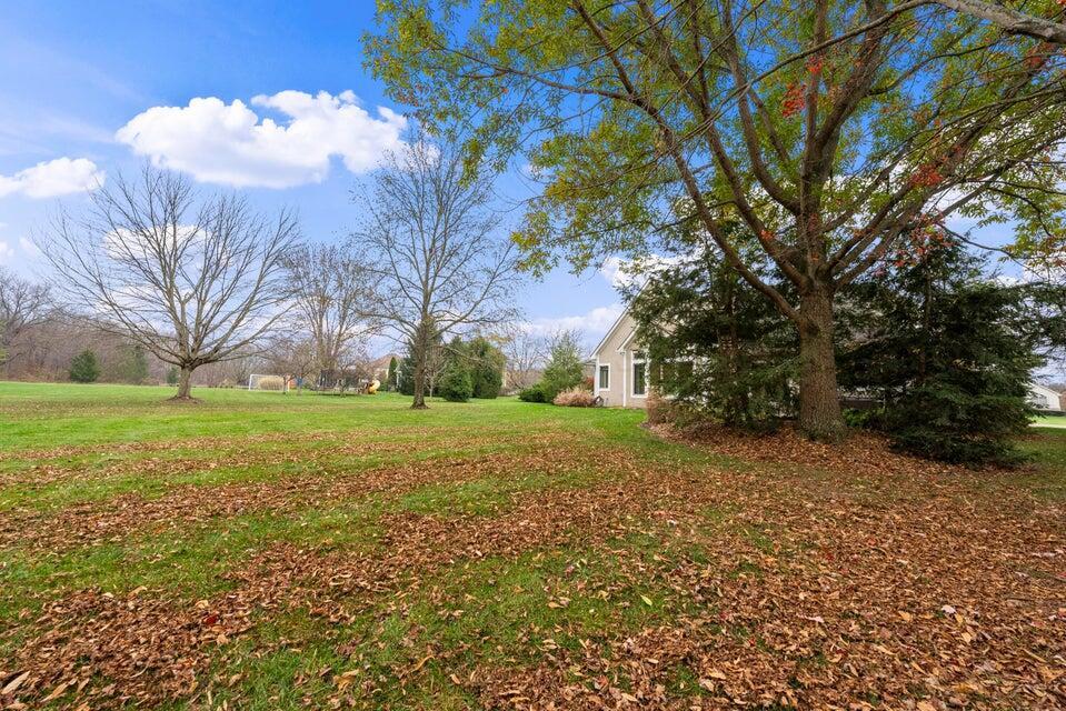 9909 Hoover Woods Road Galena, OH 43021 - Photo 42 of 50 Rear yard