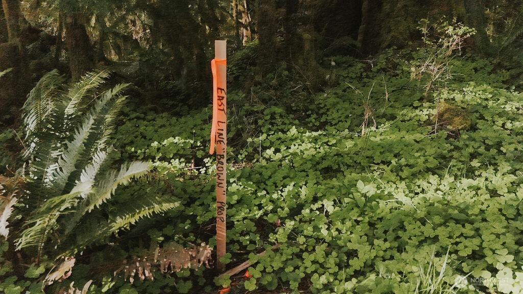 999 Kilmer Road Forks, WA 98331 - Photo 12 of 14 Gallery Image 12