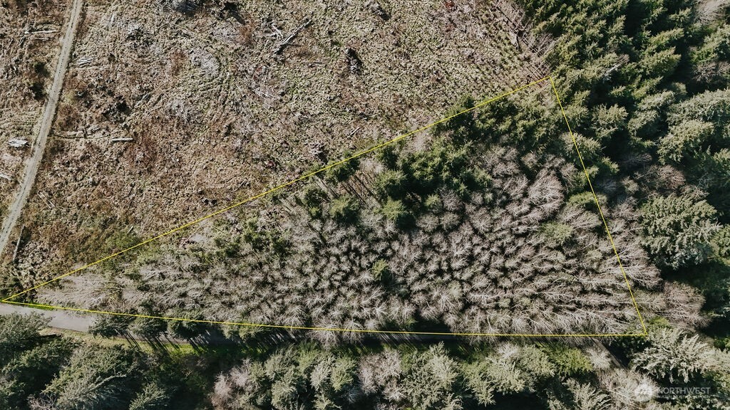999 Kilmer Road Forks, WA 98331 - Photo 13 of 14 Gallery Image 13