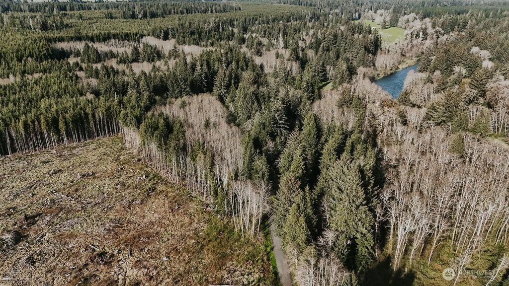 999 Kilmer Road Forks, WA 98331 - Photo 4 of 14 Gallery Image 4