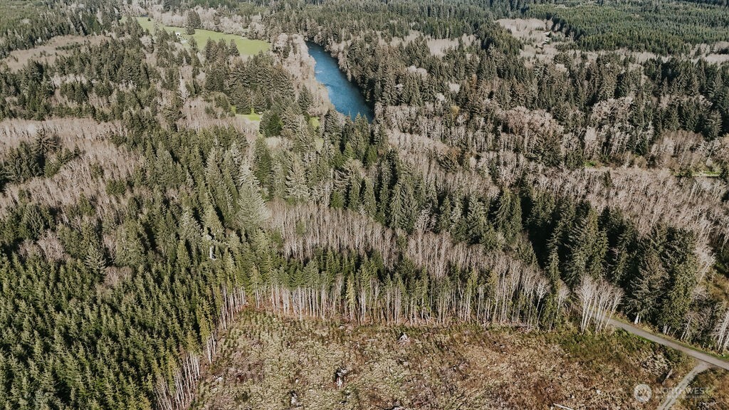 999 Kilmer Road Forks, WA 98331 - Photo 7 of 14 Gallery Image 7
