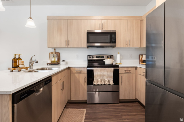4835 Alder Drive, Unit D202 Mapleton, UT 84664 - Photo 6 of 24