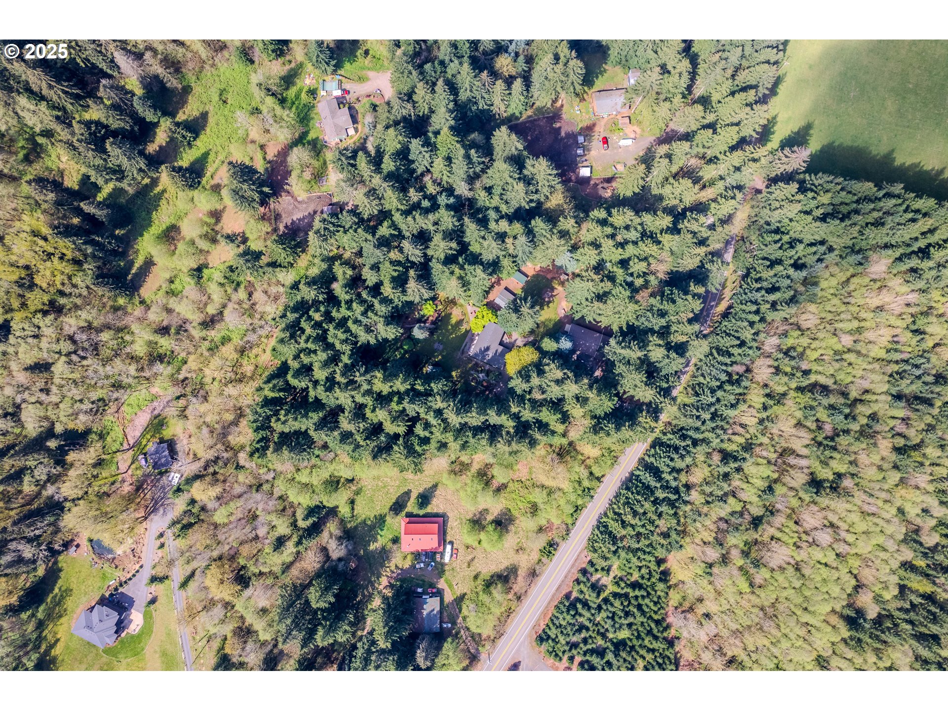 41920 Southeast Gordon Creek Road Corbett, OR 97019 - Photo 35 of 48 a view of a yard with plants