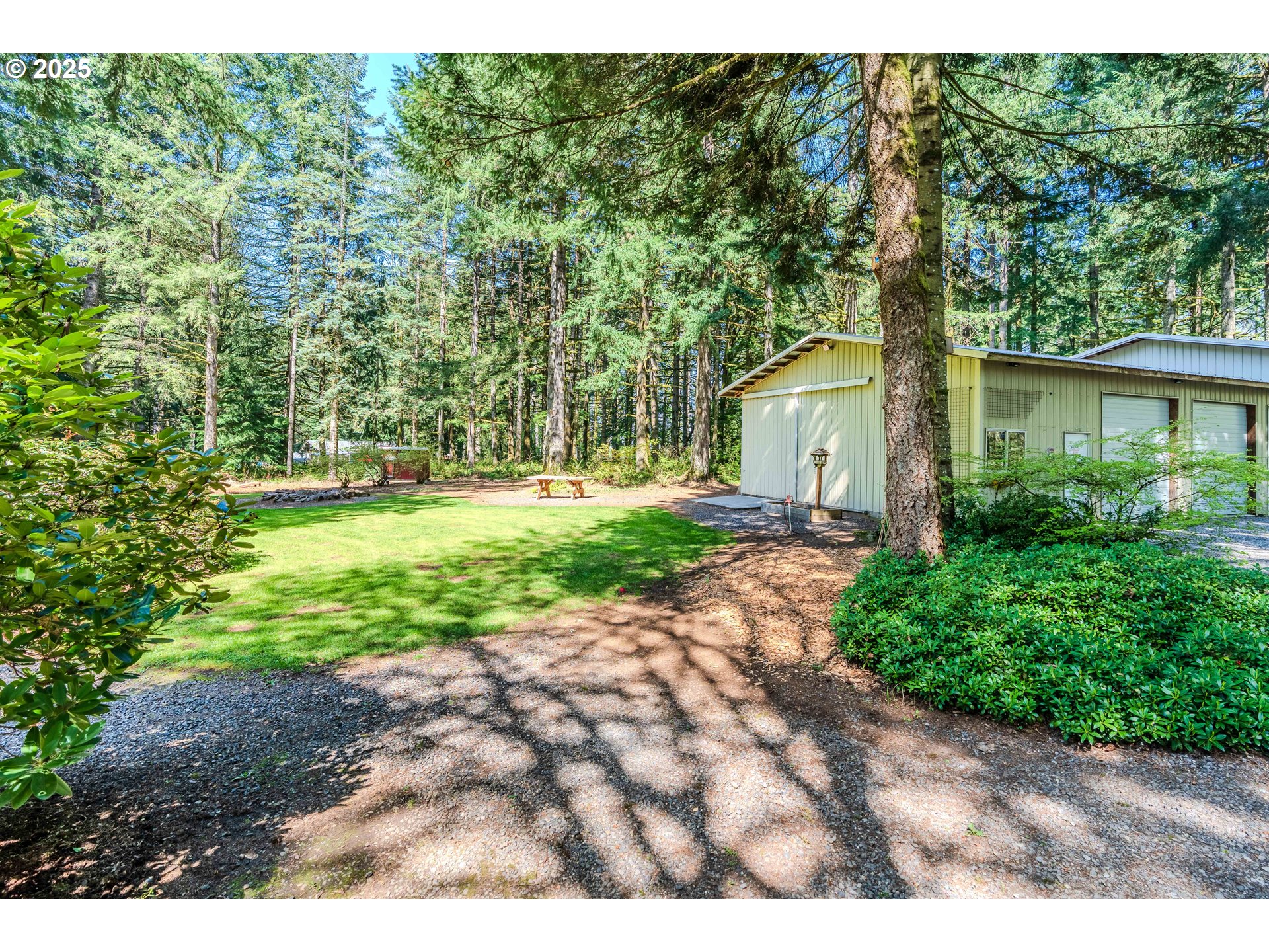 41920 Southeast Gordon Creek Road Corbett, OR 97019 - Photo 39 of 48 a view of a yard with plants and large trees