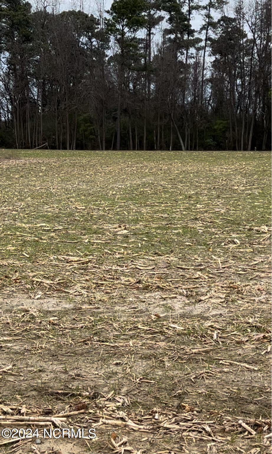 Section A High House Road Clinton, NC 28328 - Photo 1 of 3 Street view