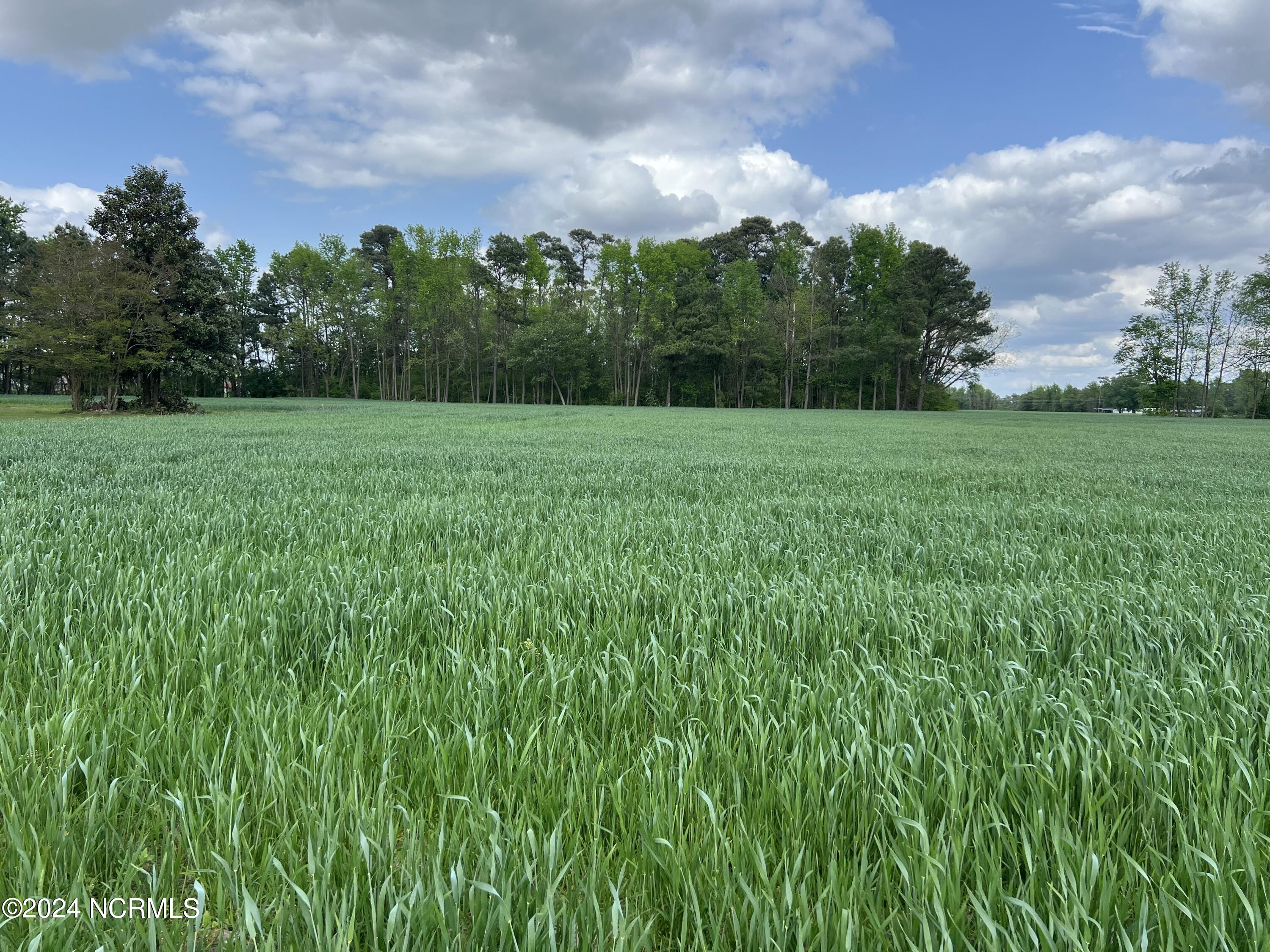 Section A High House Road Clinton, NC 28328 - Photo 3 of 3 IMG_1905