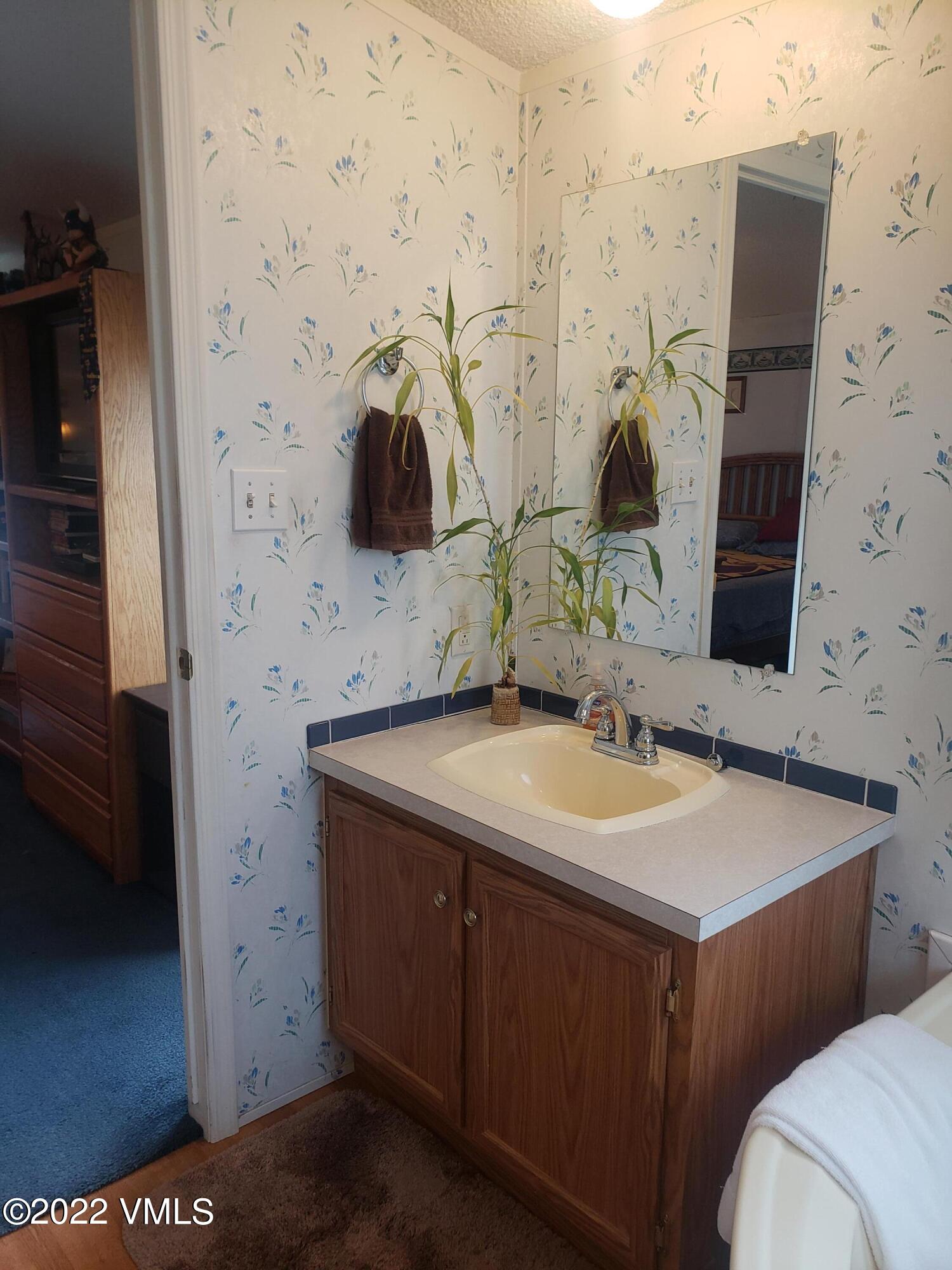 742 2nd Street Gypsum, CO 81637 - Photo 11 of 17 a bathroom with a sink and a mirror