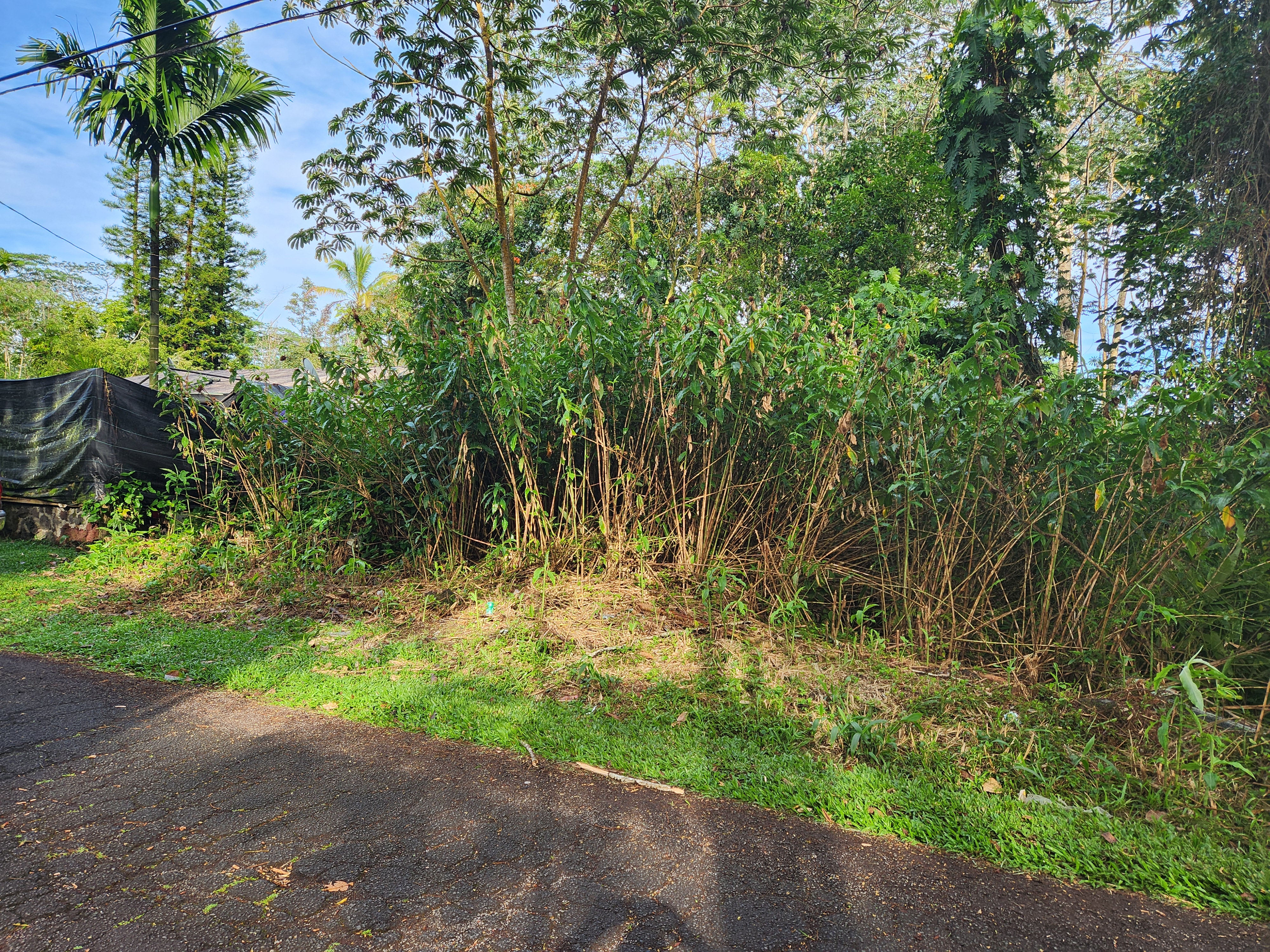 Seaview Road Pahoa, HI 96778 - Photo 1 of 6 Gallery Image 1