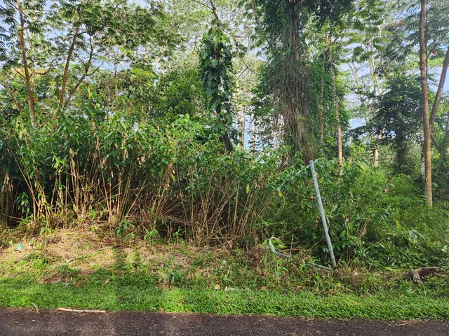 $8,000 | Seaview Road, Pahoa, HI 96778