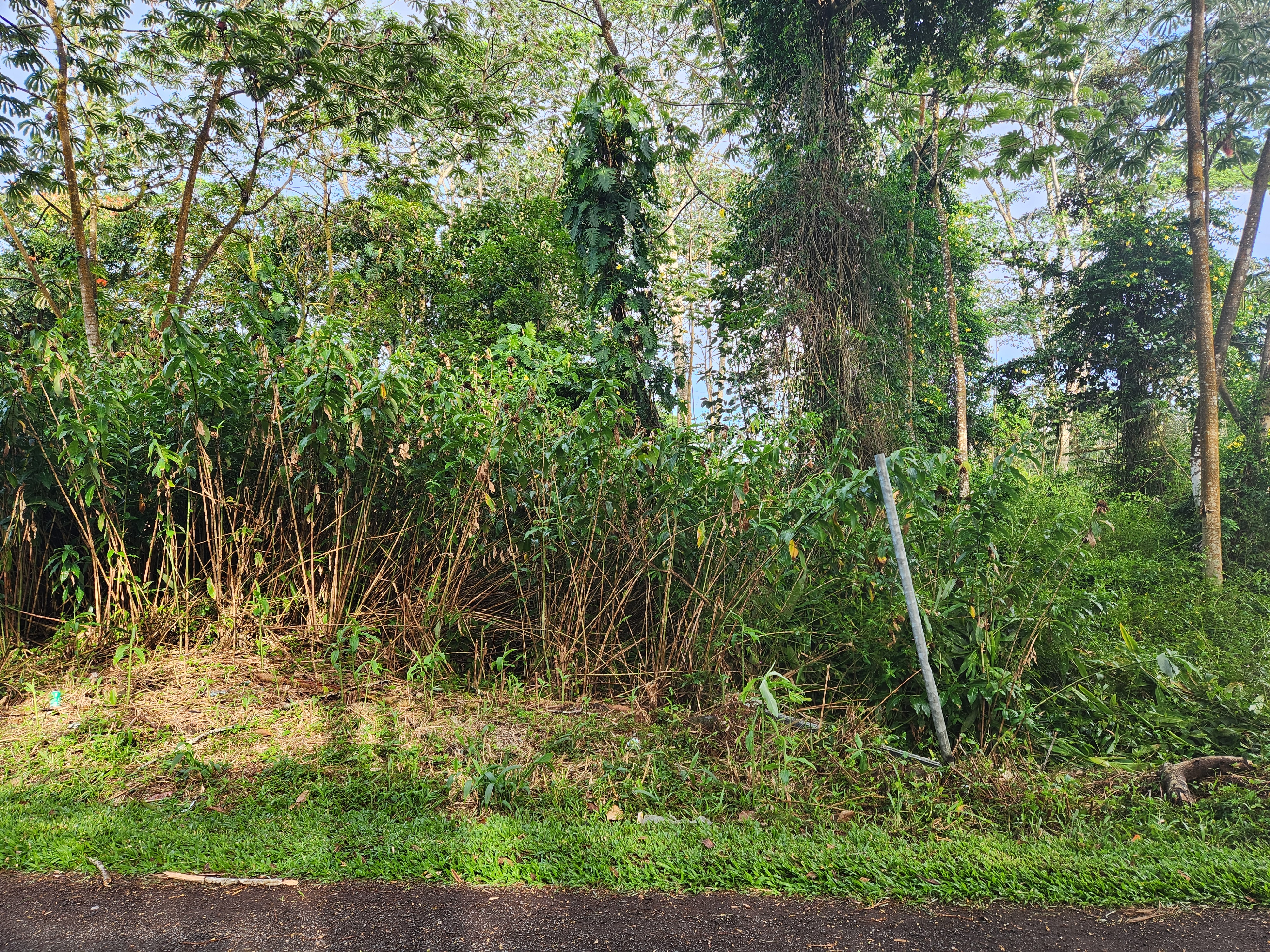 Seaview Road Pahoa, HI 96778 - Photo 6 of 6 Gallery Image 6